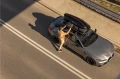 831434e20379b5029a894051bc6badac